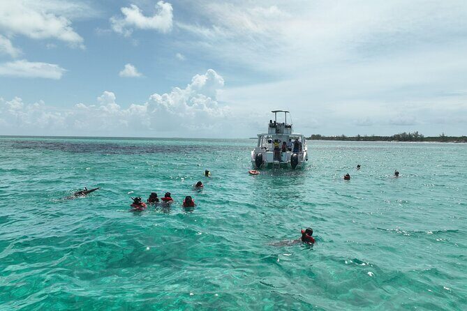 Rose Island Swimming Pigs & Beach Snorkeling Experience Nassau. - FAQ