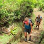 Roseau: Boiling Lake Challenge Hiking Tour with Local Guide - Final Thoughts: Who Will Love This Experience?