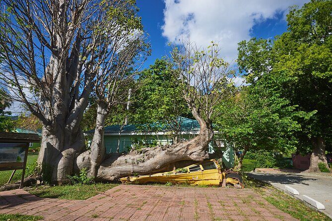 Roseau Dominica Safari Scenic: Rainforest, Falls & Karaoke - Authentic Feedback from Travelers