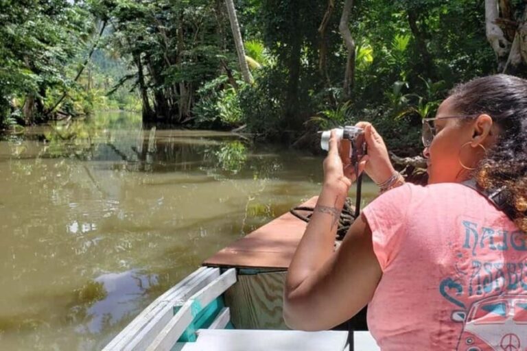 Roseau: Indian River and Fort Shirley Tour with Lunch - Discovering Dominica’s Military and Colonial Past