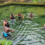 Roseau Valley to Champagne Beach Tour Experience - Analyzing the Value