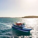 Round Trip High Speed Ferry to Contadora Island - Detailed Review: What to Expect from the Contadora Island Ferry Experience