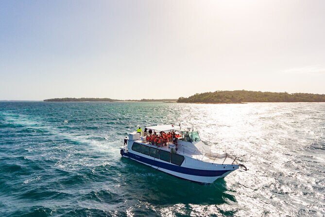 Round Trip High Speed Ferry to Contadora Island - Detailed Review: What to Expect from the Contadora Island Ferry Experience