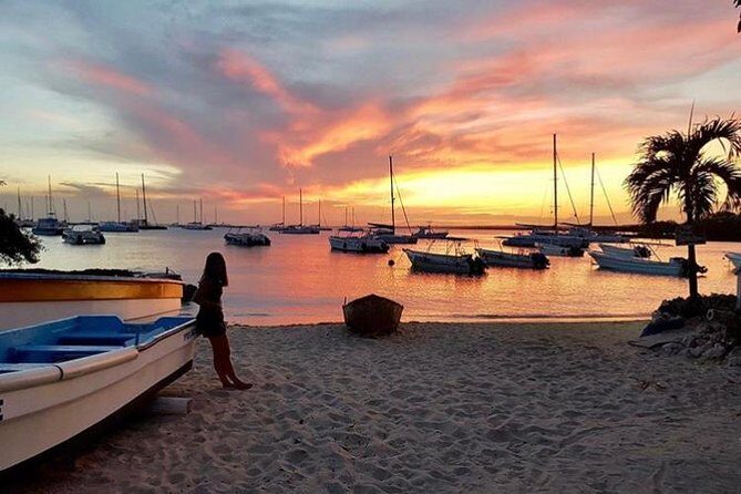 Round Trip Punta Cana Airport Shuttle - The Experience: What to Expect on Your Ride