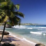 Round Trip Transfer: Liberia Airport To Tamarindo - Why This Transfer Works for Different Travelers