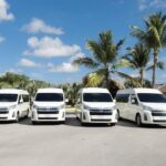 Roundtrip transportation from Punta Cana airport to Uvero alto - Why Choose This Transfer Service?