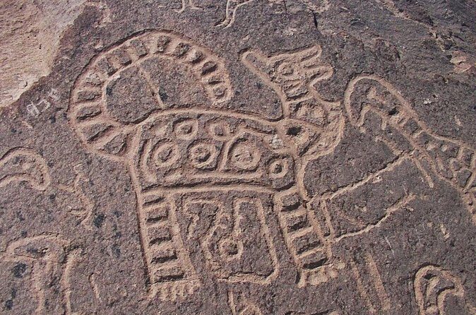 Route of Pisco, Toro Muerto and Querulpa - Who Will Love This Tour?