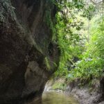 Route of the Dreams Full-day Trekking Jungle Tour in Tena - Authenticity and Feedback from Travelers