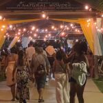 Royal Luminous Lagoon Tour - Who Should Opt for This Tour?