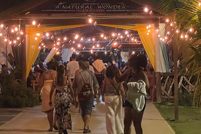 Royal Luminous Lagoon Tour - Who Should Opt for This Tour?