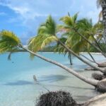 Rum and Salines paradise beach - FAQ