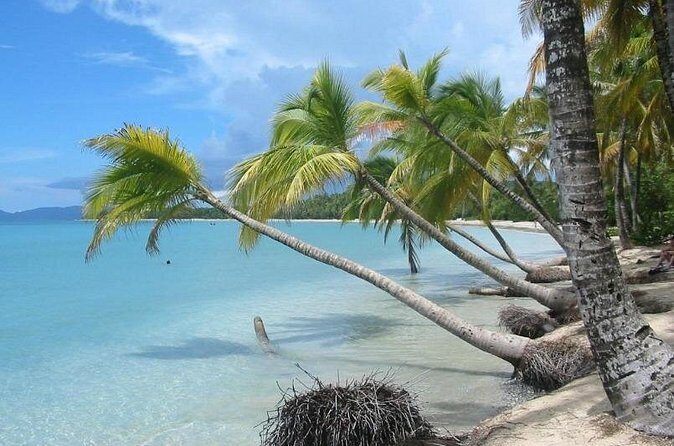 Rum and Salines paradise beach - FAQ