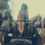 Rum Reggae and Rhythms Tour: Dancing and Cocktails - Summary and Who Will Love This Tour