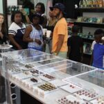 Rums and Reggae Tour (Shore Excursion) - Who Will Love This Tour?