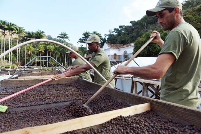 Rural Coffee Farm Tour with Breakfast & Lunch - Roasting & Tasting Experience - Who Will Love This Tour?