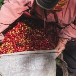 Rural Coffee Processes Inside the Forest with Night Tour - Final Thoughts