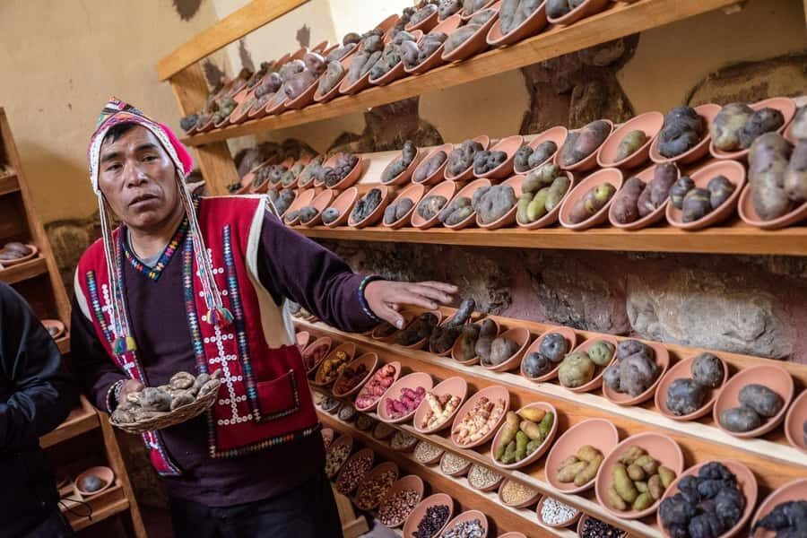 Rural Community Tourism in the Potato Park - Sacred Valley - A Closer Look at the Experience