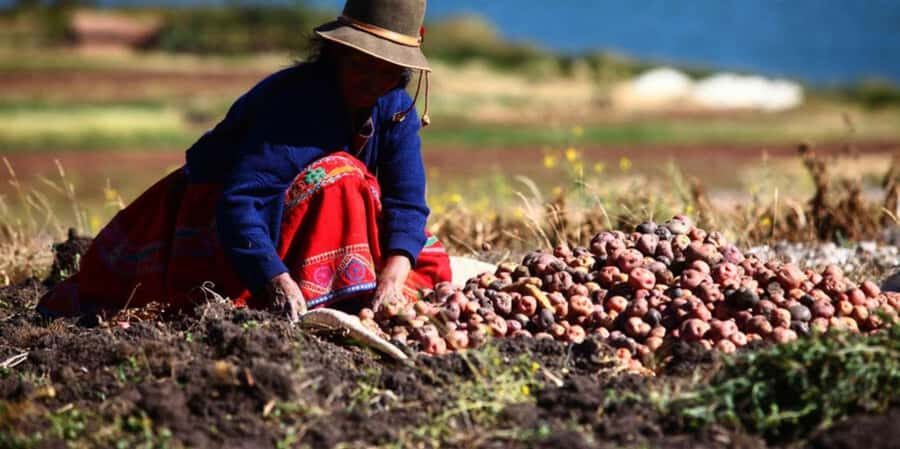 Rural Community Tourism in the Potato Park - Sacred Valley - An In-Depth Look at the Potato Park Tour