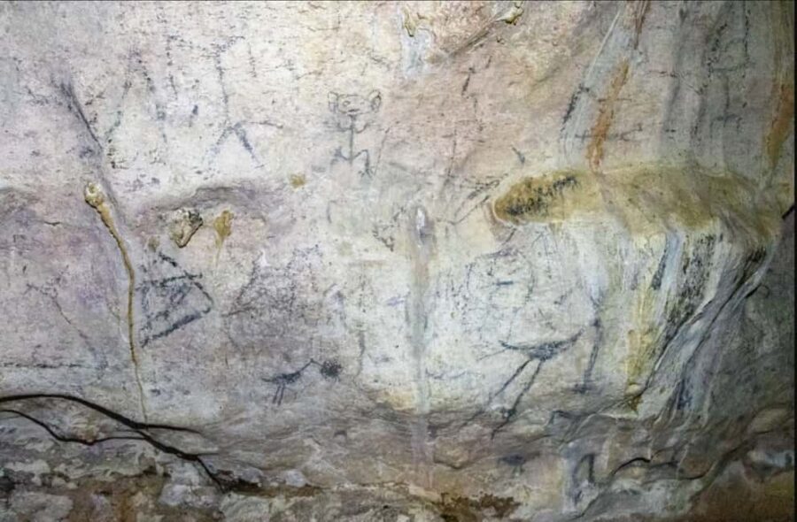 Sabana de la Mar: Los Haitises National Park Day Trip Free - A Closer Look at Los Haitises National Park Day Trip