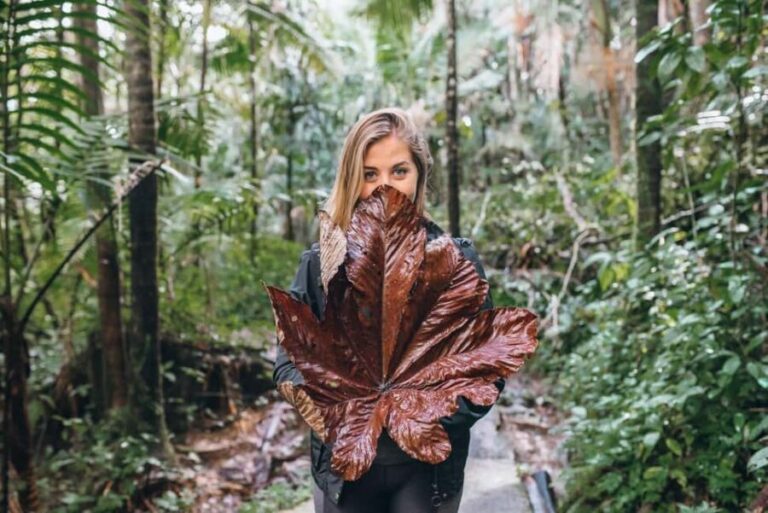 Sabana de la mar: Salto Limon, Cayo Levantado with lunch - Detailed Breakdown of the Experience