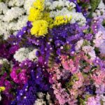 Sacred Valley food and culture tour - Analyzing Value: Is it Worth the Cost?