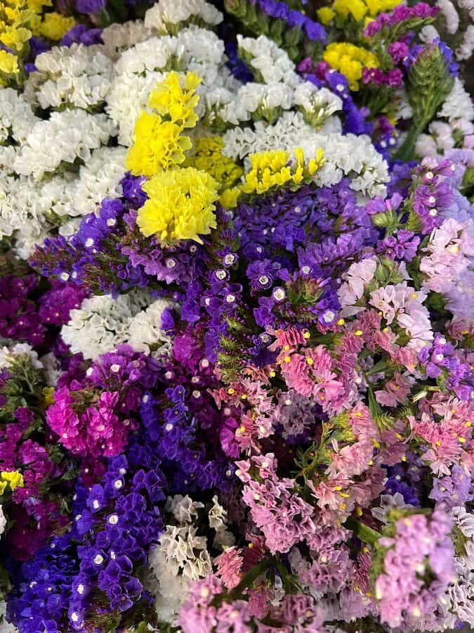 Sacred Valley food and culture tour - Analyzing Value: Is it Worth the Cost?