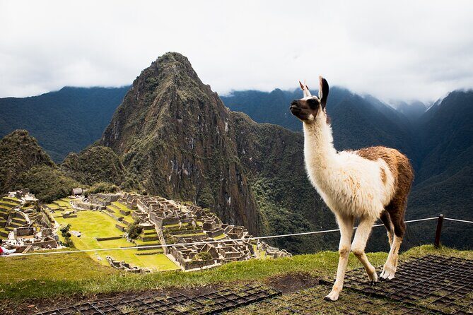 Sacred Valley Machu Picchu Tour (2 Days) - What Sets This Tour Apart