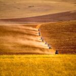Sacred Valley: Maras & Moray by Quad Bike from Cusco - A Full Breakdown of the Experience