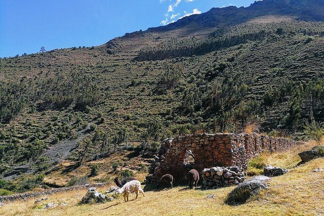 Sacred Valley of Incas (Day Trip) - Real Traveler Insights