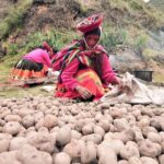 Sacred Valley to Machu Picchu Superior - FAQ