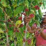 Safari Adventure - Full Day - From Punta Cana - Who Will Love This Tour?