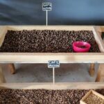 Safari discovery to Boca De Yuma  Nature, Discovery And History Of A Population - Why This Tour Matters: The Value for Travelers