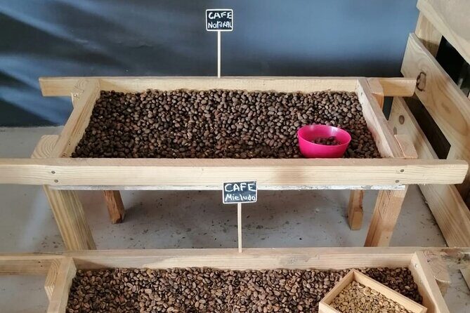 Safari discovery to Boca De Yuma  Nature, Discovery And History Of A Population - Why This Tour Matters: The Value for Travelers