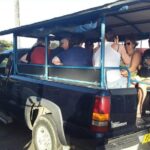 Safari Extravaganza - What Travelers Can Expect