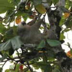 Safari Float - Who Should Consider This Tour?