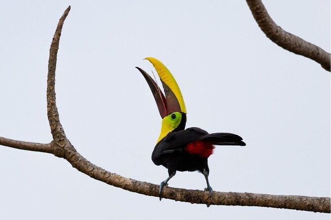 Safari Float and wild life experience in Arenal - A Detailed Look at the Safari Float Experience