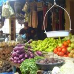 Safari Full Day Outdoor Adventure from Punta Cana - Value and Practical Tips