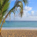 Safari Full Day VIP Experience - Final Thoughts