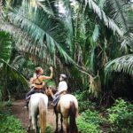 Safari Horse Riding Tour - An In-Depth Look at the Safari Horse Riding Experience