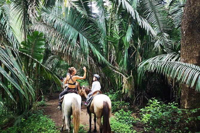 Safari Horse Riding Tour - An In-Depth Look at the Safari Horse Riding Experience