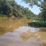 Safari náutico en tigre - Who Should Consider This Tour?