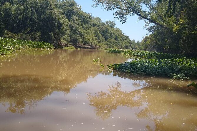 Safari náutico en tigre - Who Should Consider This Tour?