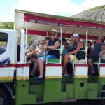 Safari Sightseeing Open Air Adventure - What Makes This Tour Stand Out?