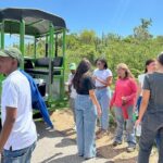 Safari Tour  Paradisiacal Excursion to Bahía de las Águilas - Who Should Take This Tour?