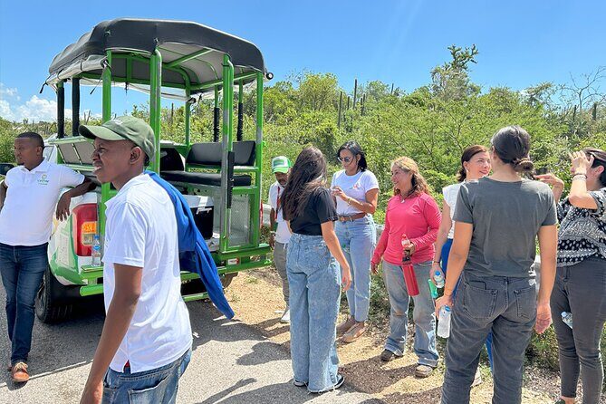 Safari Tour  Paradisiacal Excursion to Bahía de las Águilas - Who Should Take This Tour?