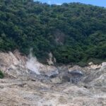 Sage Premier Taxi and Party Tours - Authentic Experiences and Traveler Insights