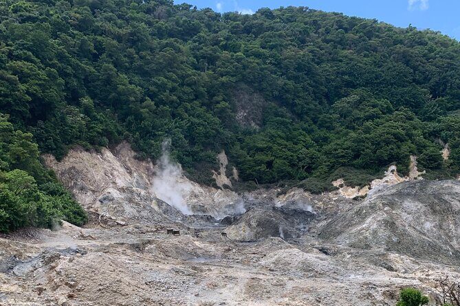 Sage Premier Taxi and Party Tours - Authentic Experiences and Traveler Insights