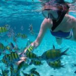 Sail/Snorkel Adventure from Sapphire Marina,STT NO CROWDS~ 6 GUEST MAX - Why This Tour Stands Out