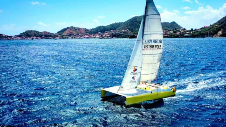 Sailing catamaran in La Baie des Saintes - The Sum Up