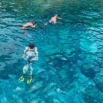 Saint Kitts & Nevis: Snorkel Tour with open Bar - Who Will Love This Tour?